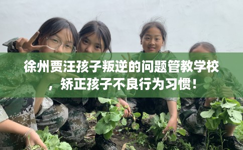 徐州贾汪孩子叛逆的问题管教学校，矫正孩子不良行为习惯！