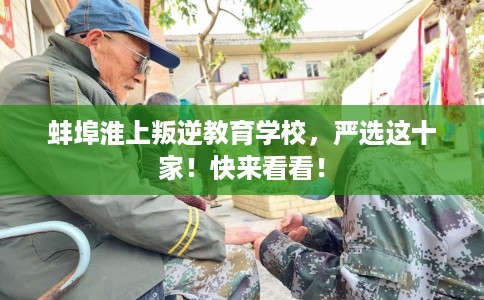 蚌埠淮上叛逆教育学校，严选这十家！快来看看！