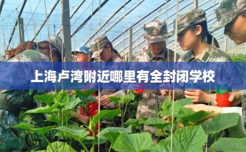 上海卢湾附近哪里有全封闭学校 上海卢湾附近哪里有全封闭学校
