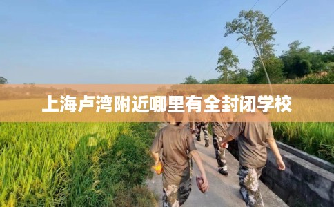 上海卢湾附近哪里有全封闭学校 上海卢湾附近哪里有全封闭学校