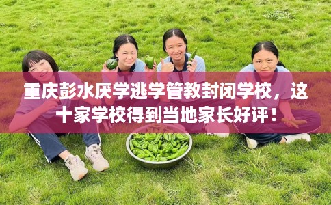 重庆彭水厌学逃学管教封闭学校，这十家学校得到当地家长好评！