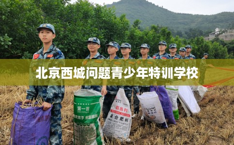 北京西城问题青少年特训学校