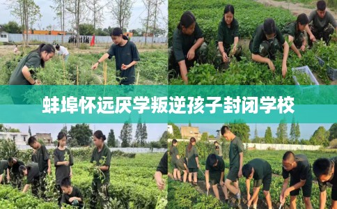蚌埠怀远厌学叛逆孩子封闭学校