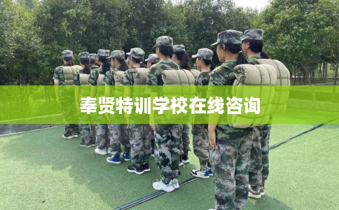 奉贤特训学校在线咨询 奉贤特训学校在线咨询