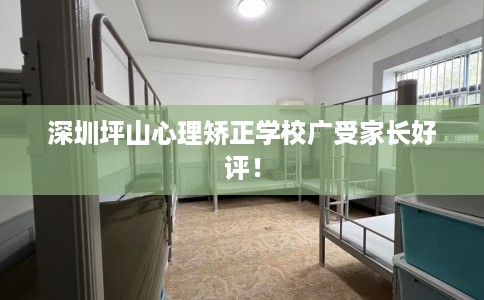 深圳坪山心理矫正学校广受家长好评！