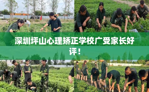 深圳坪山心理矫正学校广受家长好评！