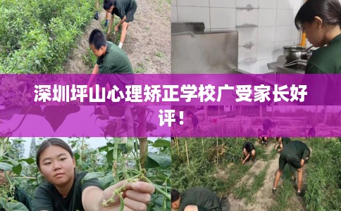 深圳坪山心理矫正学校广受家长好评！