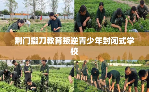 荆门掇刀教育叛逆青少年封闭式学校
