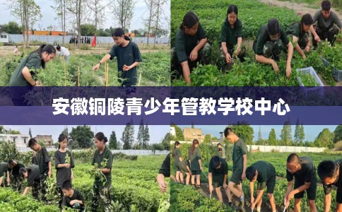 安徽铜陵青少年管教学校中心
