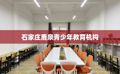 石家庄鹿泉青少年教育机构