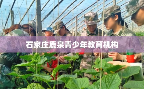 石家庄鹿泉青少年教育机构