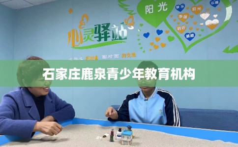 石家庄鹿泉青少年教育机构