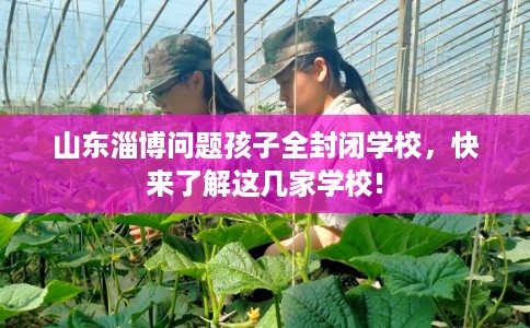 山东淄博问题孩子全封闭学校，快来了解这几家学校!