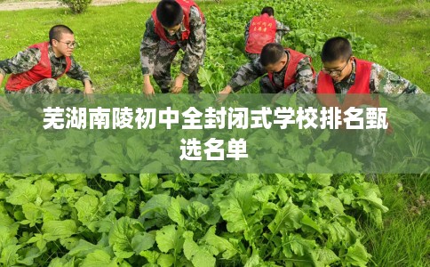 芜湖南陵初中全封闭式学校排名甄选名单