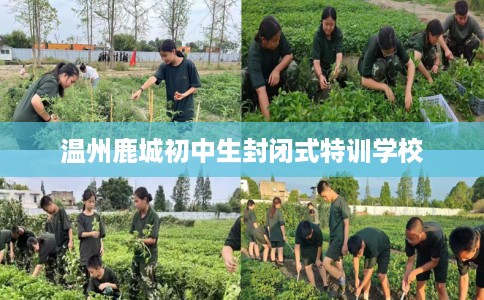 温州鹿城初中生封闭式特训学校 温州鹿城初中生封闭式特训学校