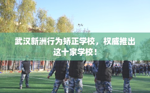 武汉新洲行为矫正学校，权威推出这十家学校！