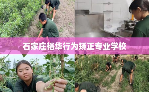 石家庄裕华行为矫正专业学校