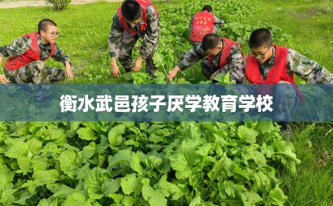 衡水武邑孩子厌学教育学校 衡水武邑孩子厌学教育学校
