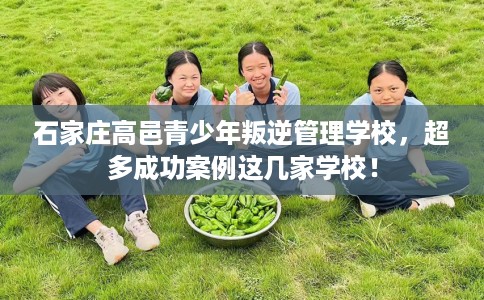 石家庄高邑青少年叛逆管理学校，超多成功案例这几家学校！