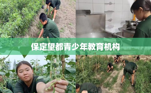 保定望都青少年教育机构