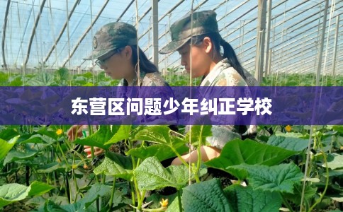 东营区问题少年纠正学校