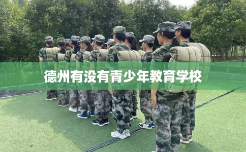 德州有没有青少年教育学校 德州有没有青少年教育学校