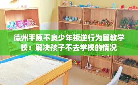 德州平原不良少年叛逆行为管教学校：解决孩子不去学校的情况