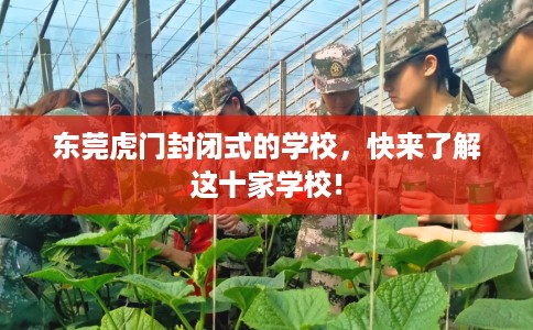 东莞虎门封闭式的学校，快来了解这十家学校!