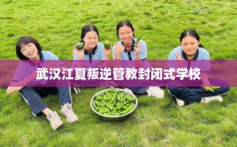 武汉江夏叛逆管教封闭式学校