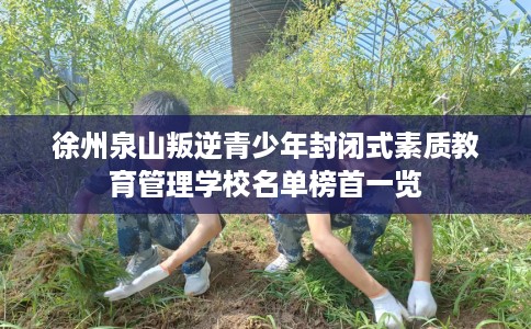 徐州泉山叛逆青少年封闭式素质教育管理学校名单榜首一览