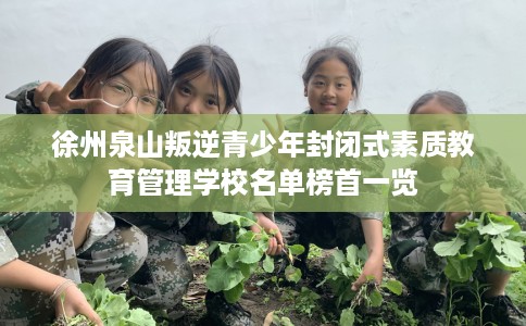 徐州泉山叛逆青少年封闭式素质教育管理学校名单榜首一览