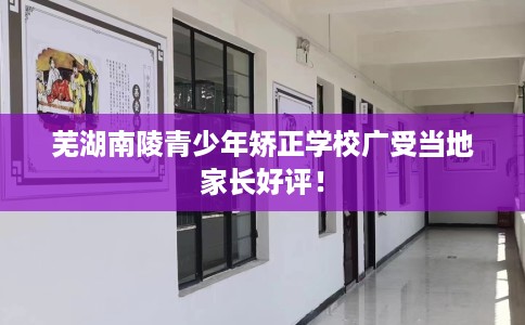 芜湖南陵青少年矫正学校广受当地家长好评！