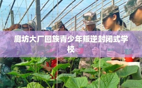 廊坊大厂回族青少年叛逆封闭式学校 廊坊大厂回族青少年叛逆封闭式学校