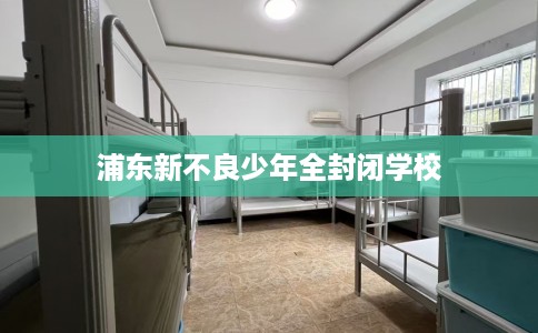浦东新不良少年全封闭学校 浦东新不良少年全封闭学校