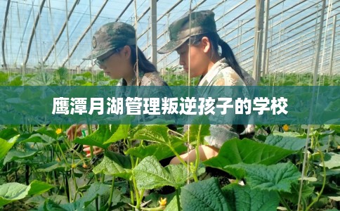 鹰潭月湖管理叛逆孩子的学校