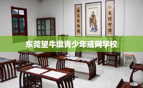 东莞望牛墩青少年戒网学校 东莞望牛墩青少年戒网学校