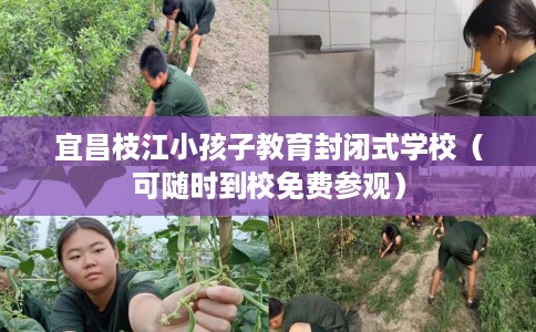 宜昌枝江小孩子教育封闭式学校（可随时到校免费参观）
