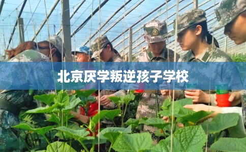 北京厌学叛逆孩子学校 北京厌学叛逆孩子学校