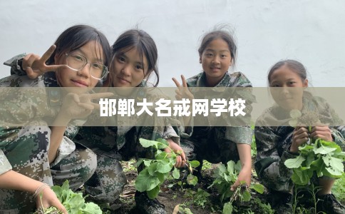 邯郸大名戒网学校