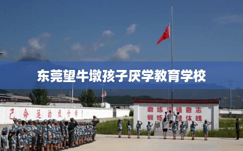 东莞望牛墩孩子厌学教育学校