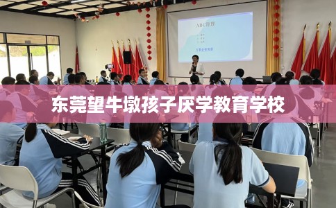 东莞望牛墩孩子厌学教育学校