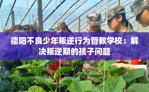 德阳不良少年叛逆行为管教学校:解决叛逆期的孩子问题 德阳不良少年叛逆行为管教学校:解决叛逆期的孩子问题