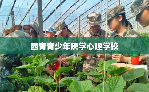 西青青少年厌学心理学校