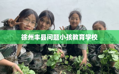 徐州丰县问题小孩教育学校 徐州丰县问题小孩教育学校