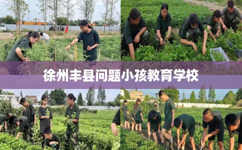 徐州丰县问题小孩教育学校 徐州丰县问题小孩教育学校