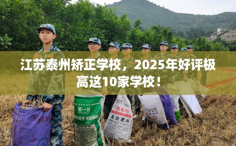 江苏泰州矫正学校，2025年好评极高这10家学校！