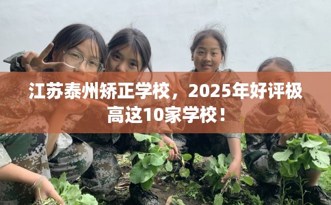 江苏泰州矫正学校，2025年好评极高这10家学校！