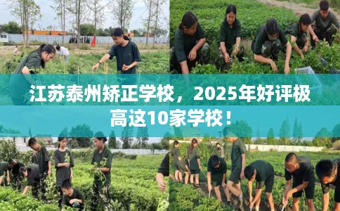 江苏泰州矫正学校，2025年好评极高这10家学校！