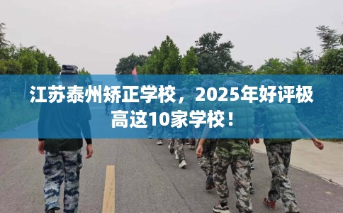 江苏泰州矫正学校，2025年好评极高这10家学校！
