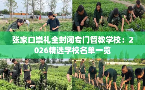 张家口崇礼全封闭专门管教学校：2026精选学校名单一览
